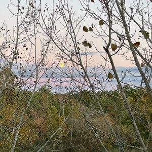 Meet your Posher, Anne